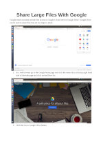 Sharing Large Files with Google